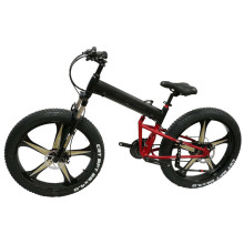 High quality battery driven bicycle/2019 new models folding electric cycles/mountain bike with electric motor